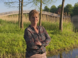 Maximapark hoge brug
